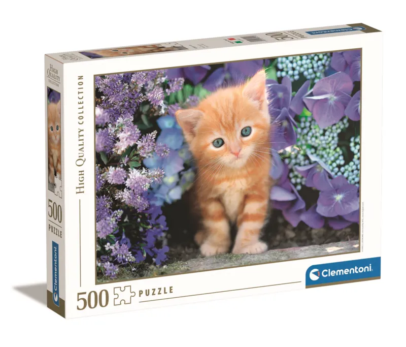 Chaton dans les Fleurs