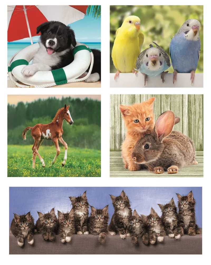Puzzle 10 En 1 - Amis Des Animaux