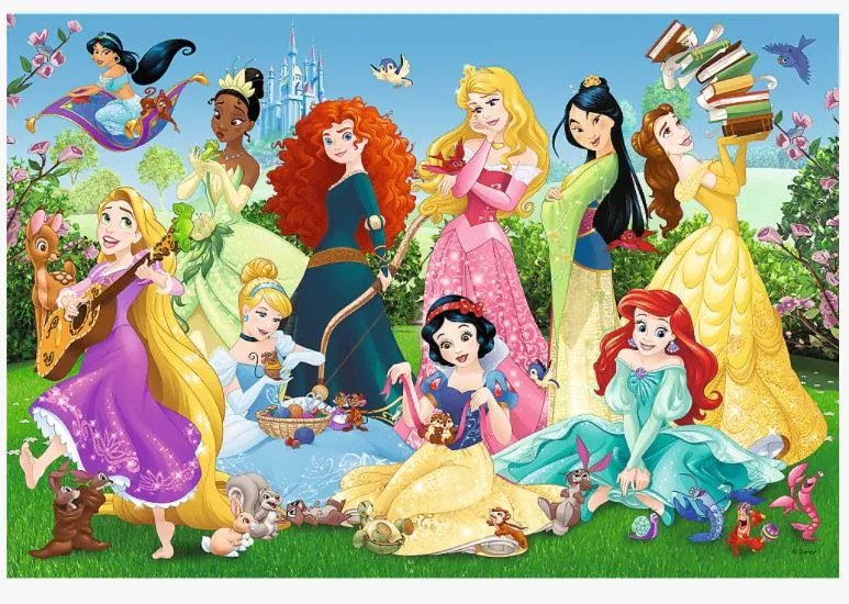Disney Princess