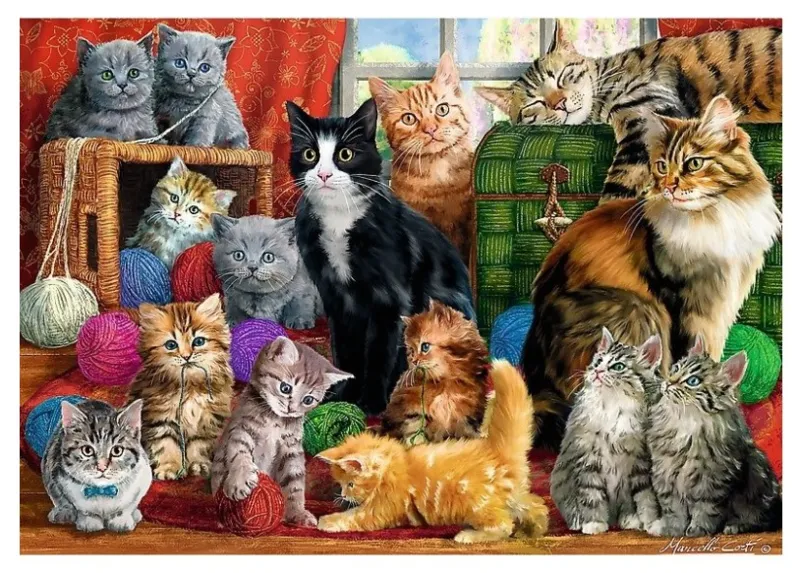 Cats Meeting