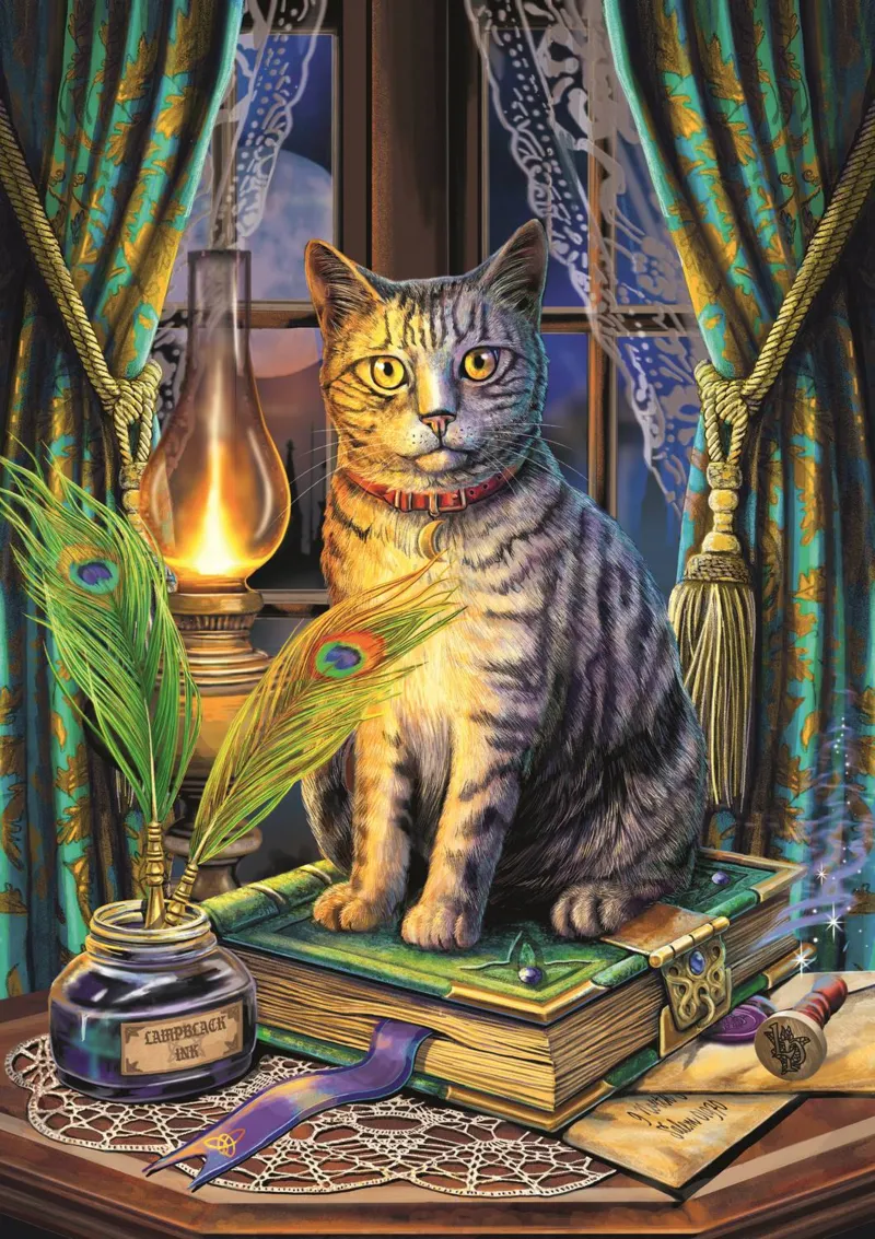 Collection Magic : Livre Des Ombres