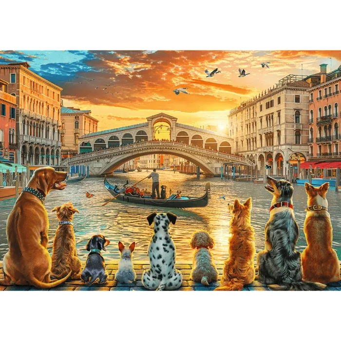 Les Chiens à Venise
