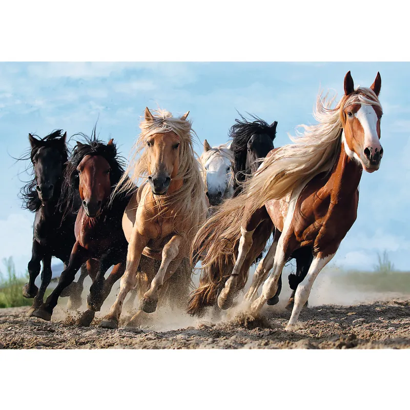 Chevaux