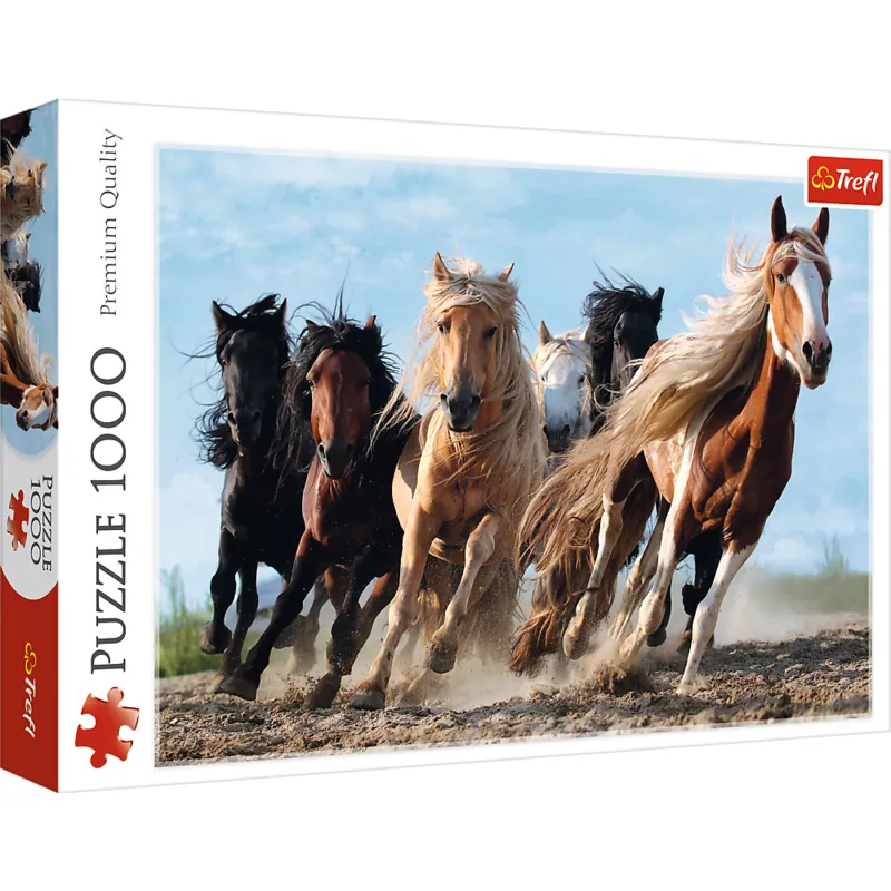 Chevaux