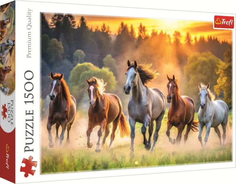 Chevaux Sauvages