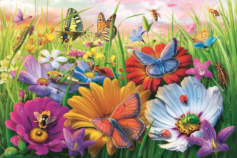Easy Piece - Insectes Dans Le Pré