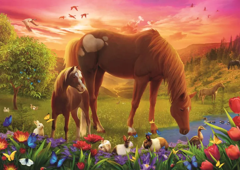 Chevaux Dans Le Pré