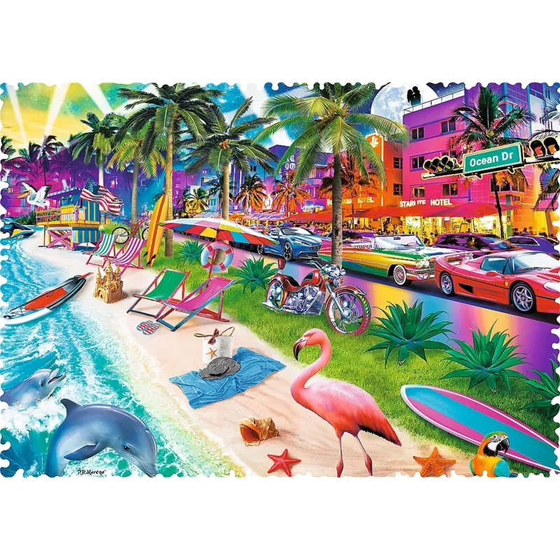 Crazy Shapes - Plage de Miami