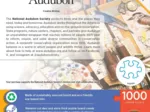Audubon - Observation Créative Des Oiseaux