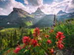 Montagnes Vierges