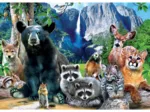 National Parks - Yosemite