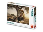Lion Au Repos