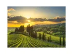 Puzzle XL - Vignoble Maremma