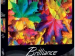 Fall Frenzy
