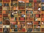 The Cat Library