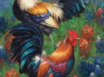 Roosters