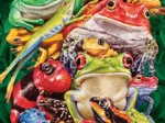 Frog Business