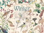 Country Diary - Hiver