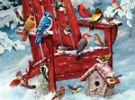 Oiseaux des Adirondacks