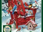 Oiseaux des Adirondacks