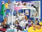 Soirée Pyjama pour Chatons