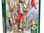 Oiseaux d'Hiver