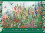 Colibris d'Amérique du Nord