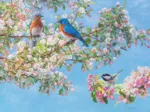 Festival des Fleurs