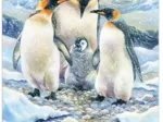 Pièces XXL - Penguin Family (Family)