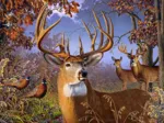 Pièces XXL - Deer and Pheasant