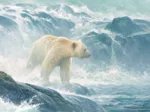Pièces XXL - Salmon Watch - Spirit Bear