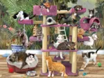 Chats de la Jungle