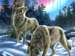 Loups sous l'Aurore