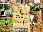 Une Vie Parfaite grâce aux Chats