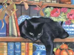 Chrissy Snelling - On the Shelf