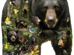 Pièces XXL - Greg Giordano - Forest Bear