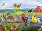 Pièces XXL - Oiseaux de l'Est