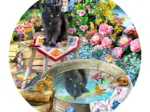 Reflets de Chaton