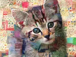 Chaton Tigré Matelassé