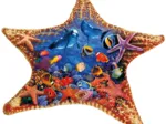 Steve Sundram - Starfish