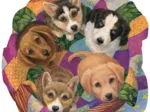 Panier de Chiots