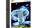 Schim Schimmel - Spirit of Africa