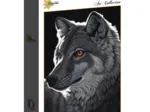 Schim Schimmel - Night Wolf