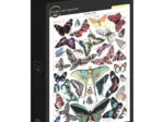 Illustration du Larousse pour Tous : Papillons, 1907-1910