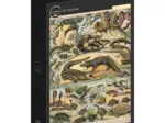 Illustration du Nouveau Larousse Illustré : Reptiles, 1897-1904