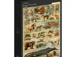 Illustration du Larousse pour Tous : Mammifères, XIXè Siècle