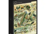 Illustration du Nouveau Larousse Illustré : Oiseaux, XIXè Siècle