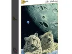 Schim Schimmel - Lair of the Snow Leopard