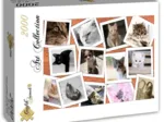Chats