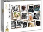 Chiens